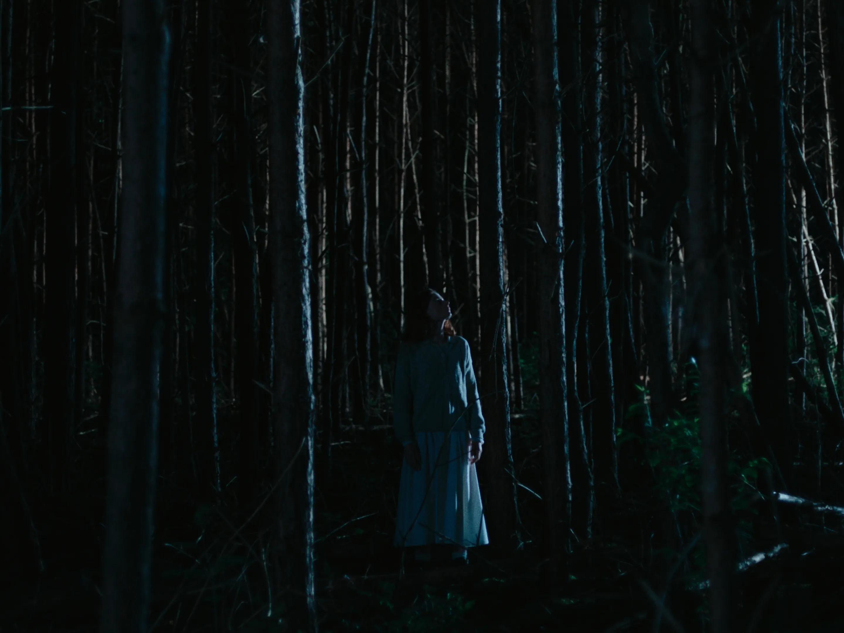 Moonlight Woman cinematography still