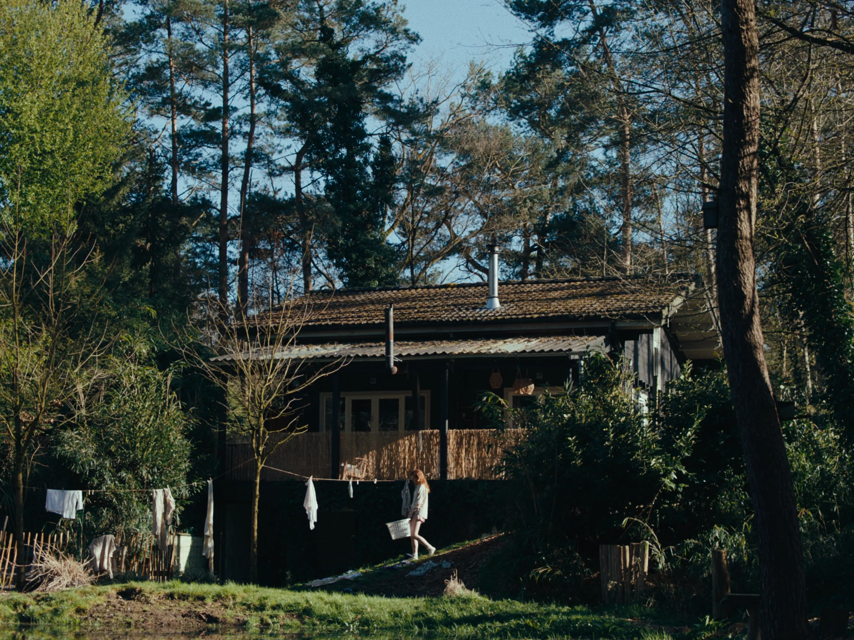 Moonlight Woman cinematography still