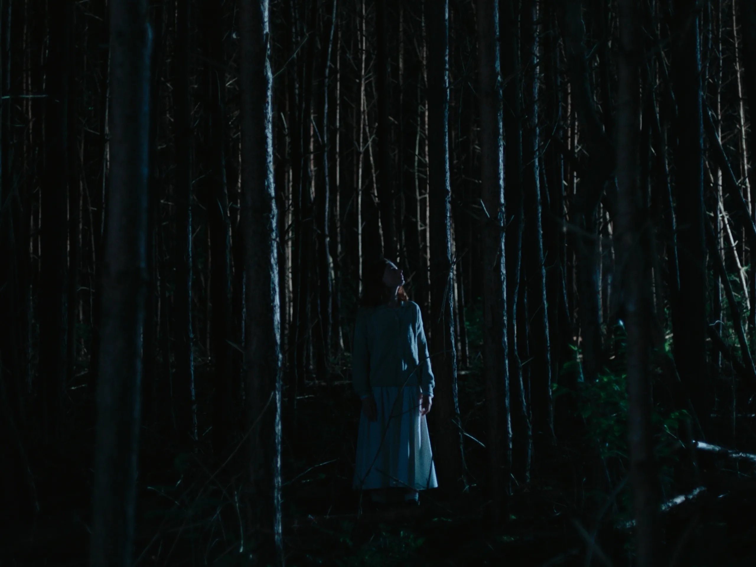 Moonlight Woman: a woman in white stands small among dark pine trunks in moonlight