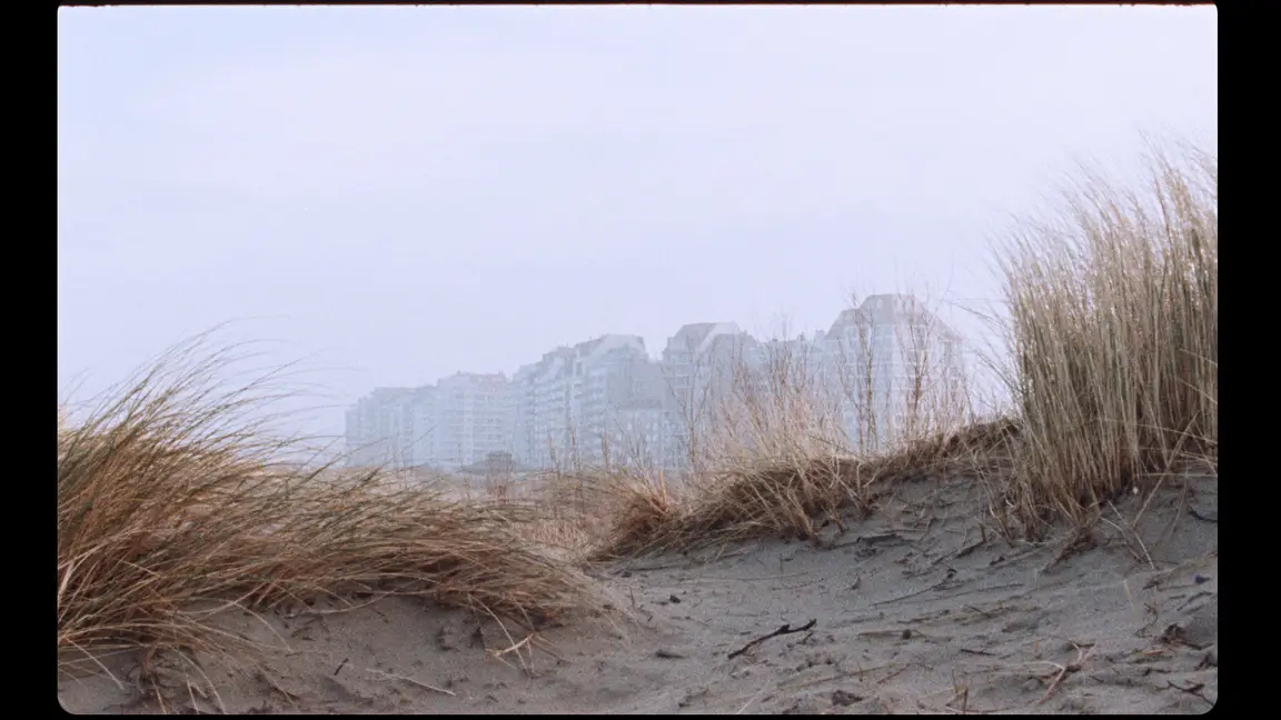 Hoge Blekker: dune grass on a sandy ridge with foggy coastal apartment buildings dissolving in the mist behind