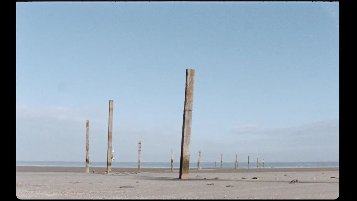 Hoge Blekker: weathered wooden posts standing in a receding line across a bright empty tidal beach