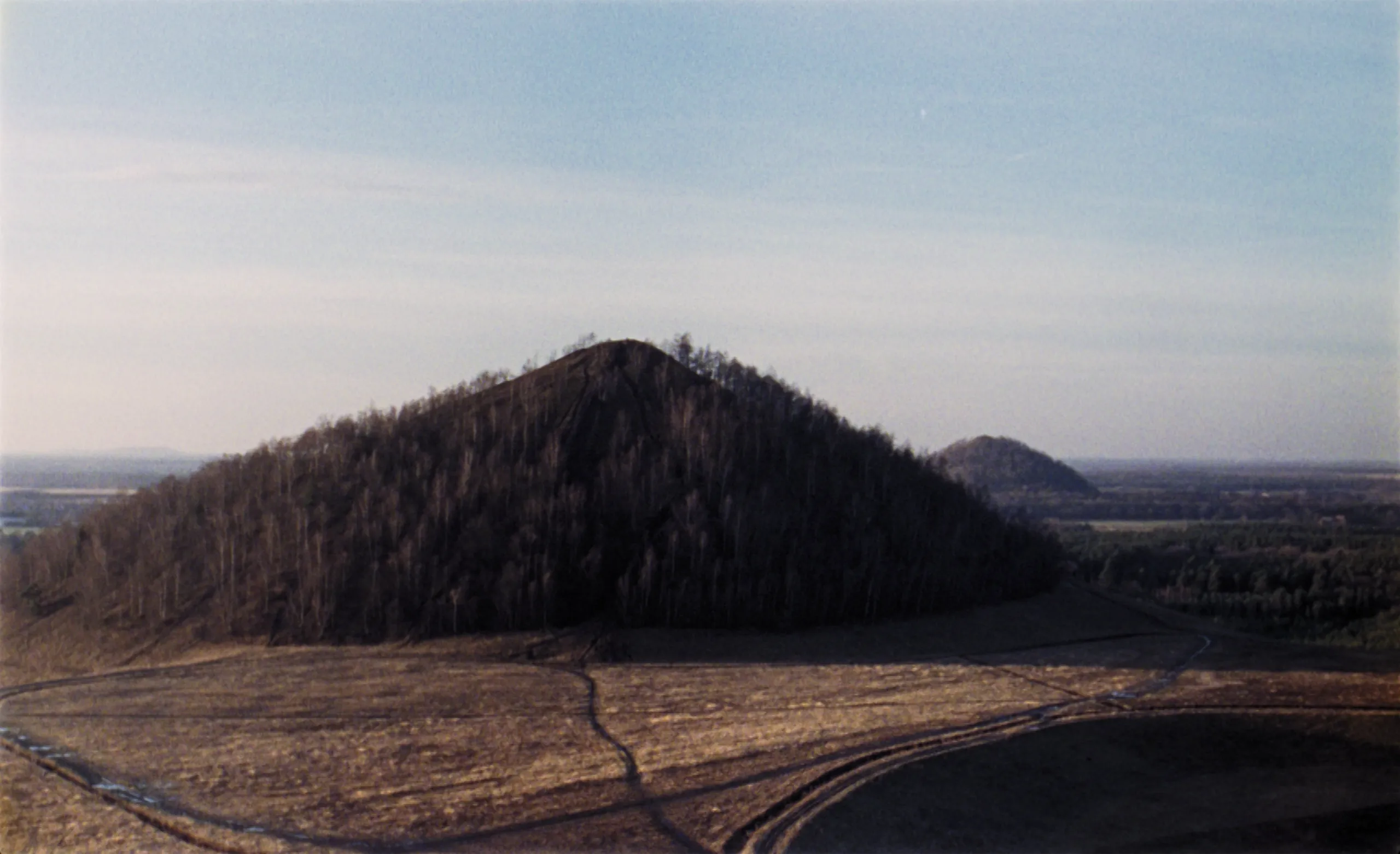 World Wood Web, cinematography still by Victor Maes