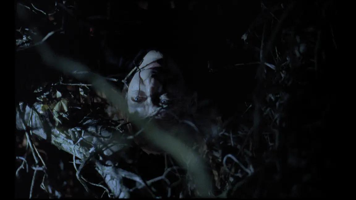 World Wood Web: pale face lit in darkness, eyes open, tangled among bare branches and twigs at night