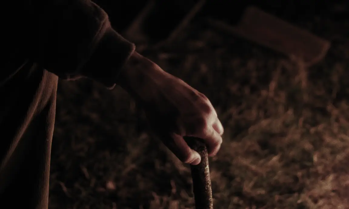 Felix, Le Gamin Qui Traverse: close-up of a hand gripping a wooden stick in dark grass by firelight at night