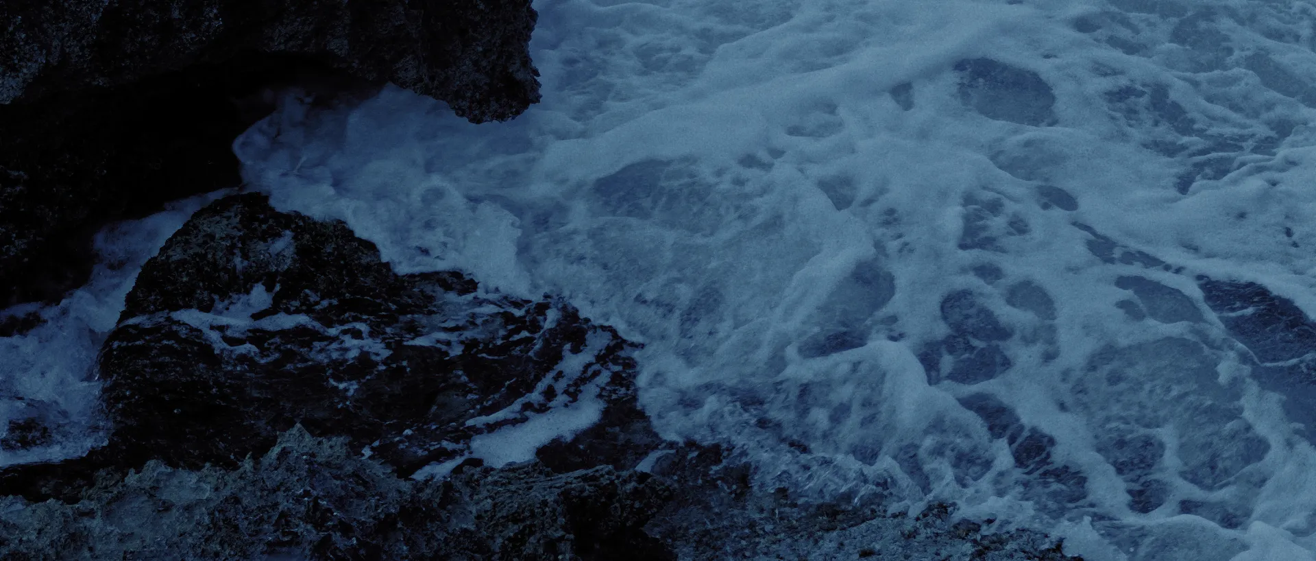 Springtide cinematography still