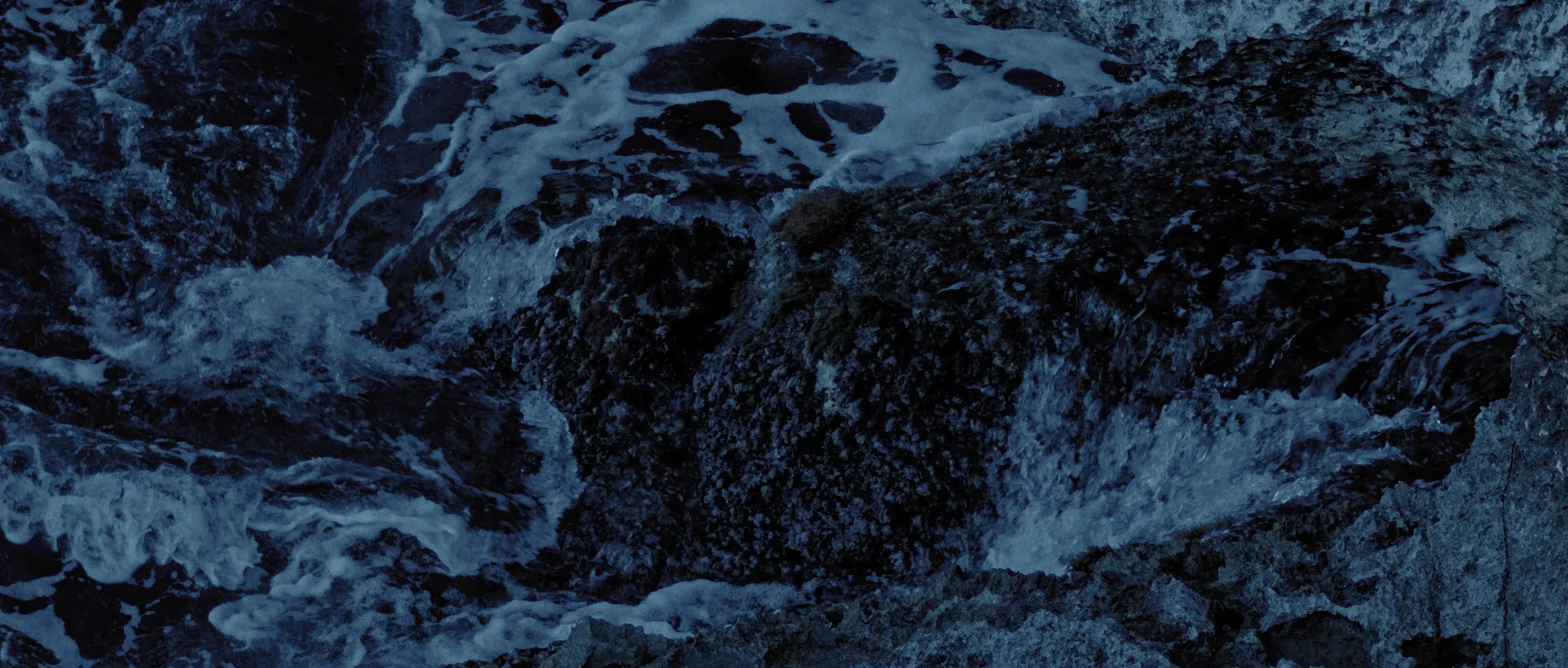Springtide cinematography still