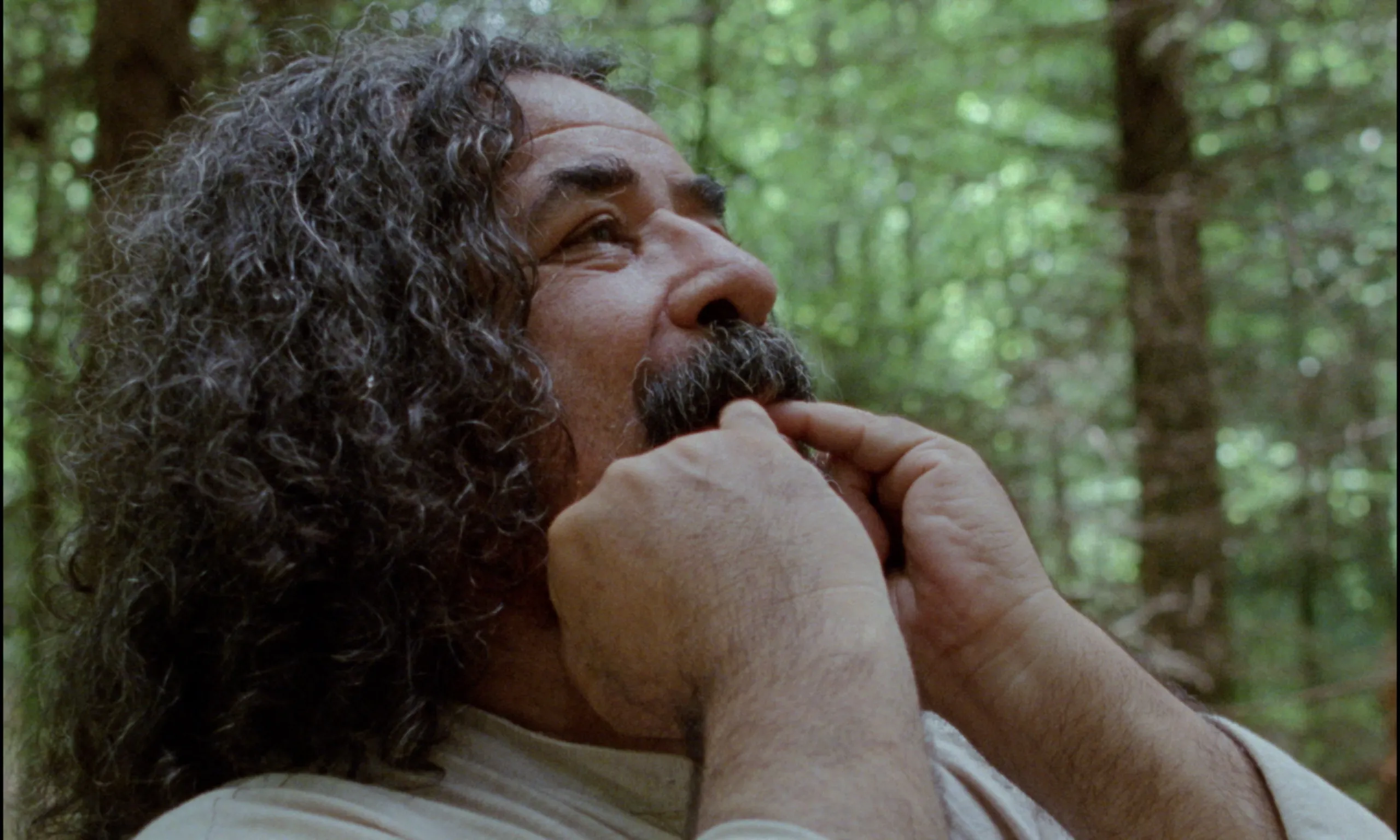Ever Since, I Have Been Flying: profile of the curly-haired mustachioed man gazing upward in a green forest