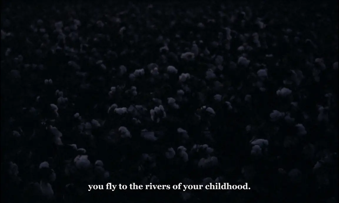 Ever Since, I Have Been Flying: darkened cotton field at night, subtitled about flying to childhood rivers