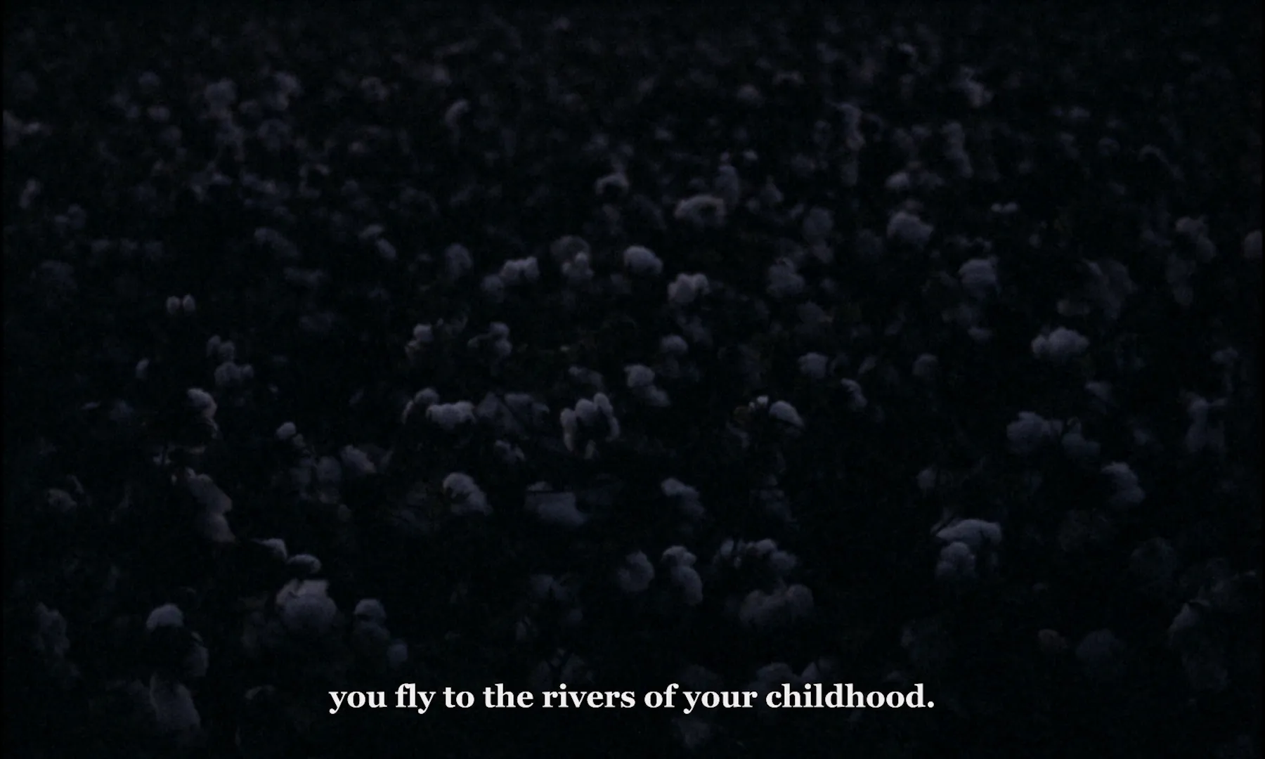 Ever Since I Have Been Flying cinematography still