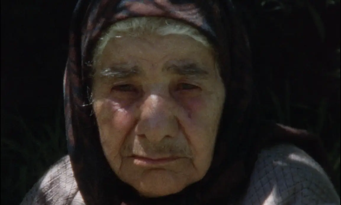 Ever Since, I Have Been Flying: close portrait of an old woman in a headscarf, face lit by dappled sun