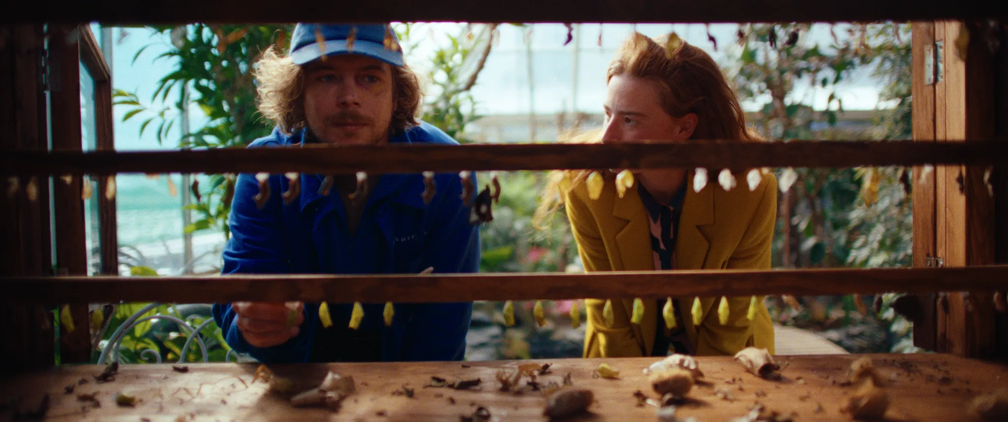 Vlinderman cinematography still