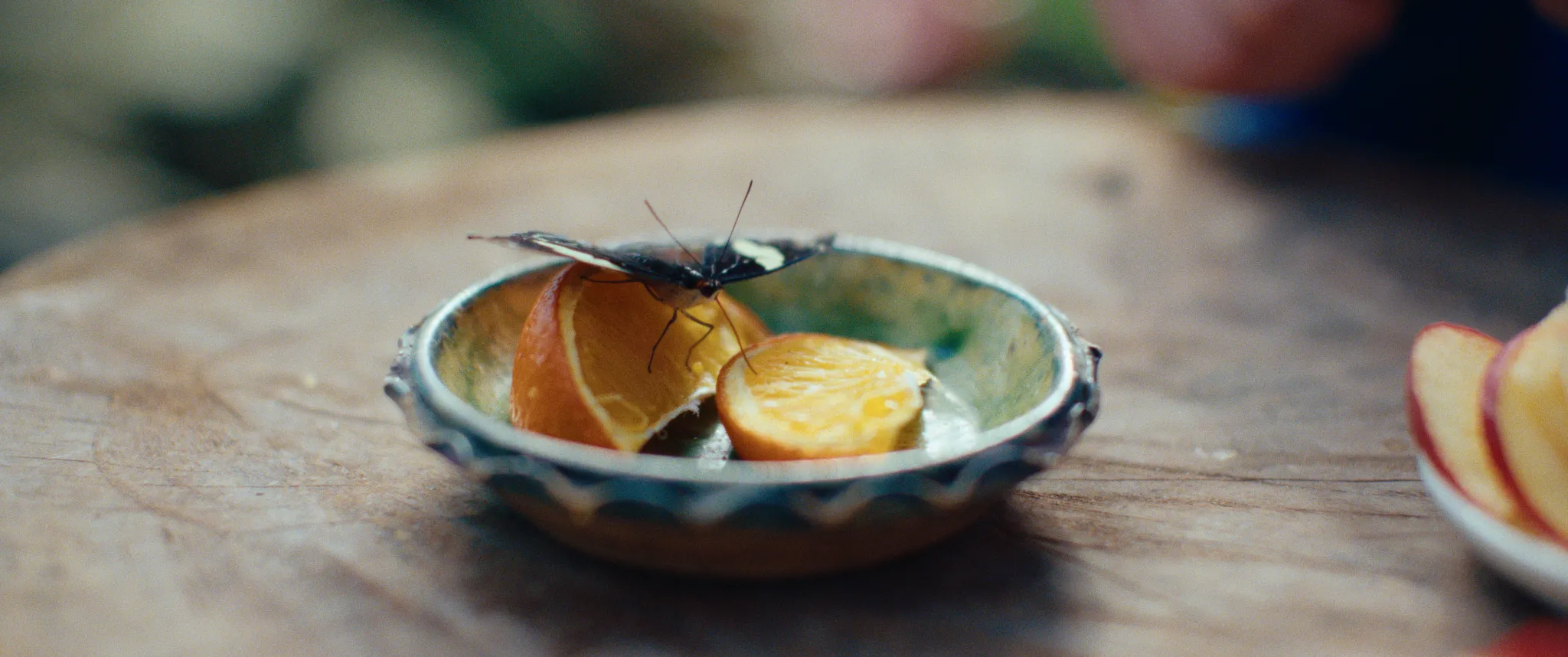 Vlinderman cinematography still