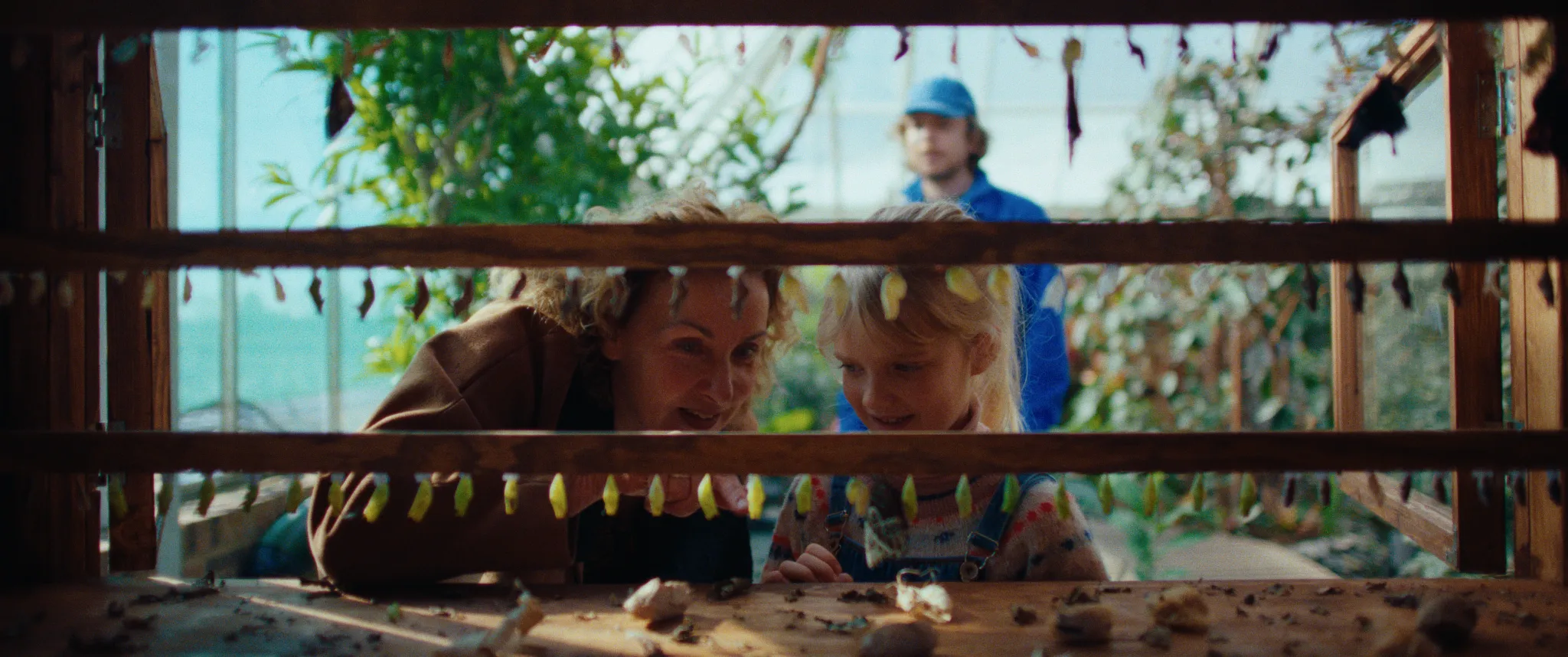 Vlinderman cinematography still