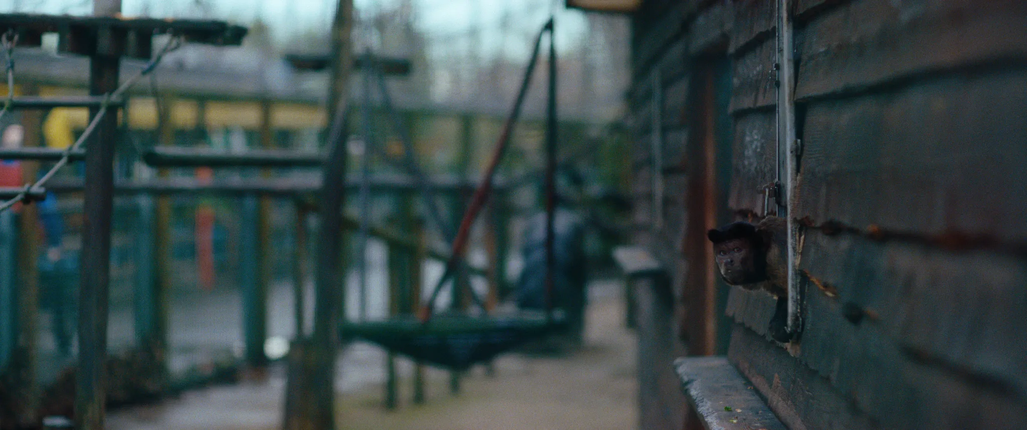 Vlinderman cinematography still
