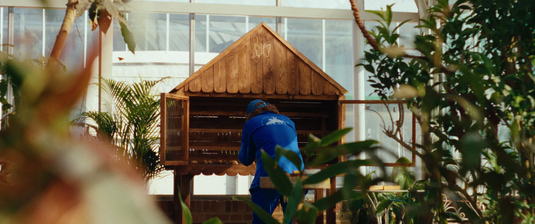 Vlinderman cinematography still