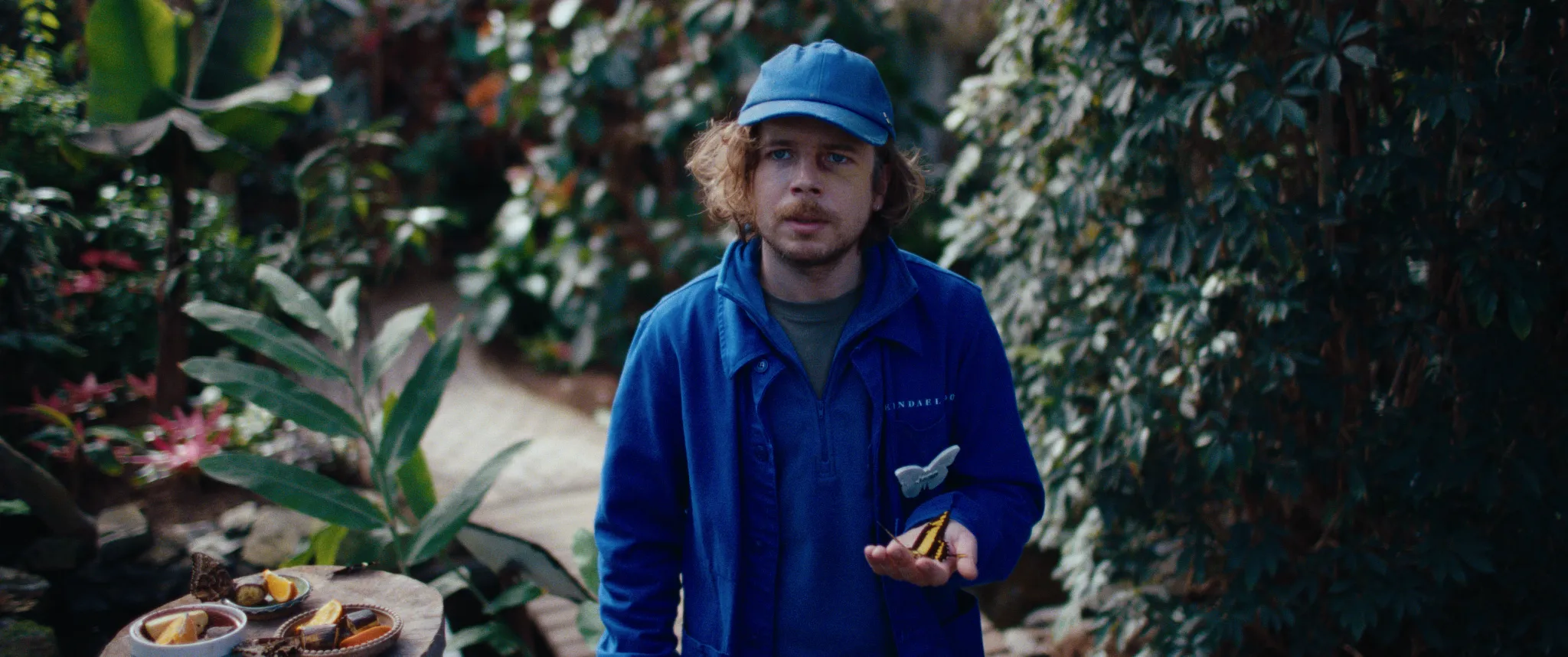 Vlinderman cinematography still