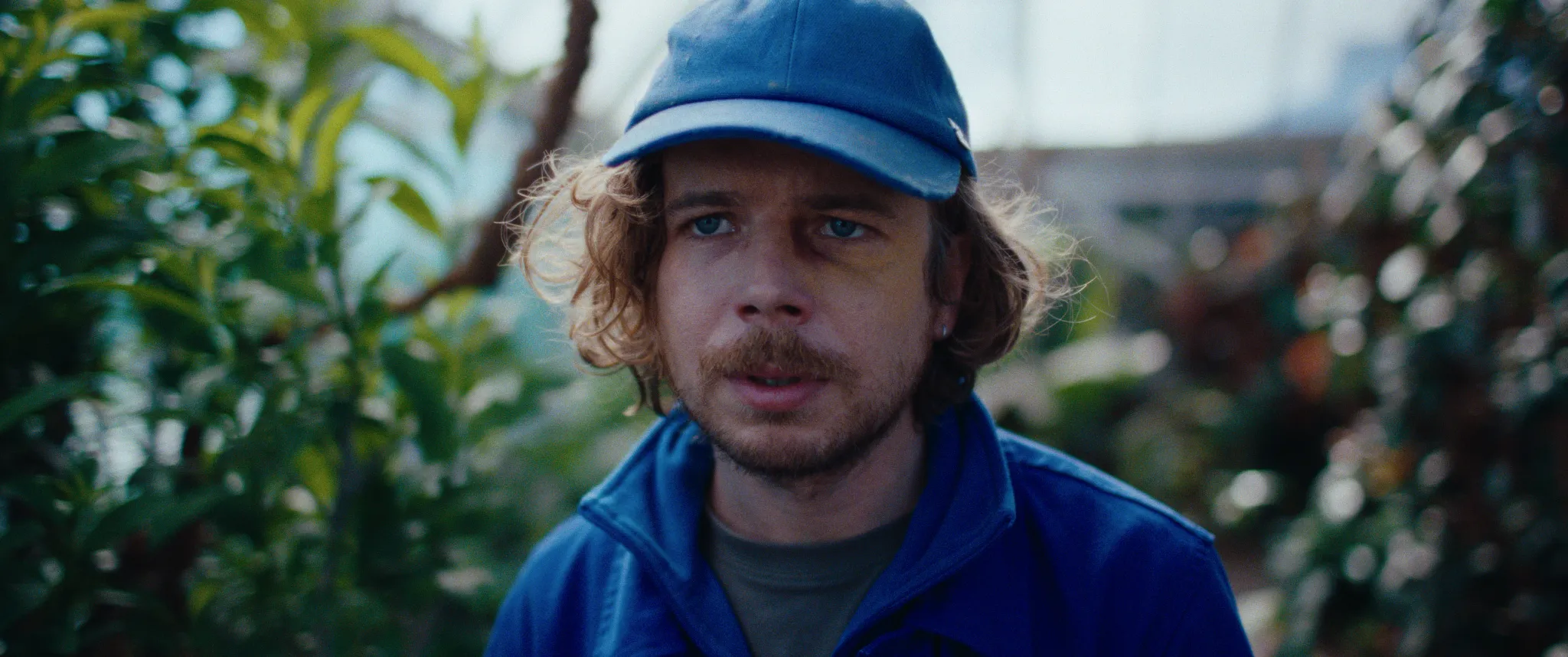 Vlinderman cinematography still