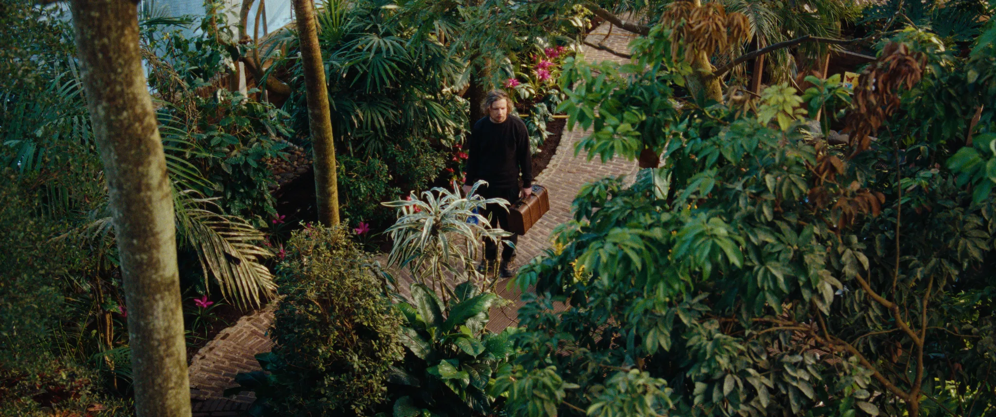 Vlinderman cinematography still