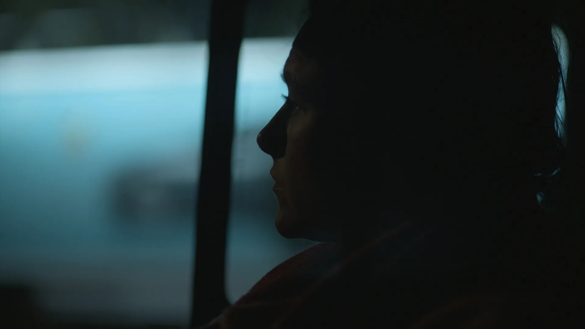 Bieke Depoorter Chance Encounters cinematography still