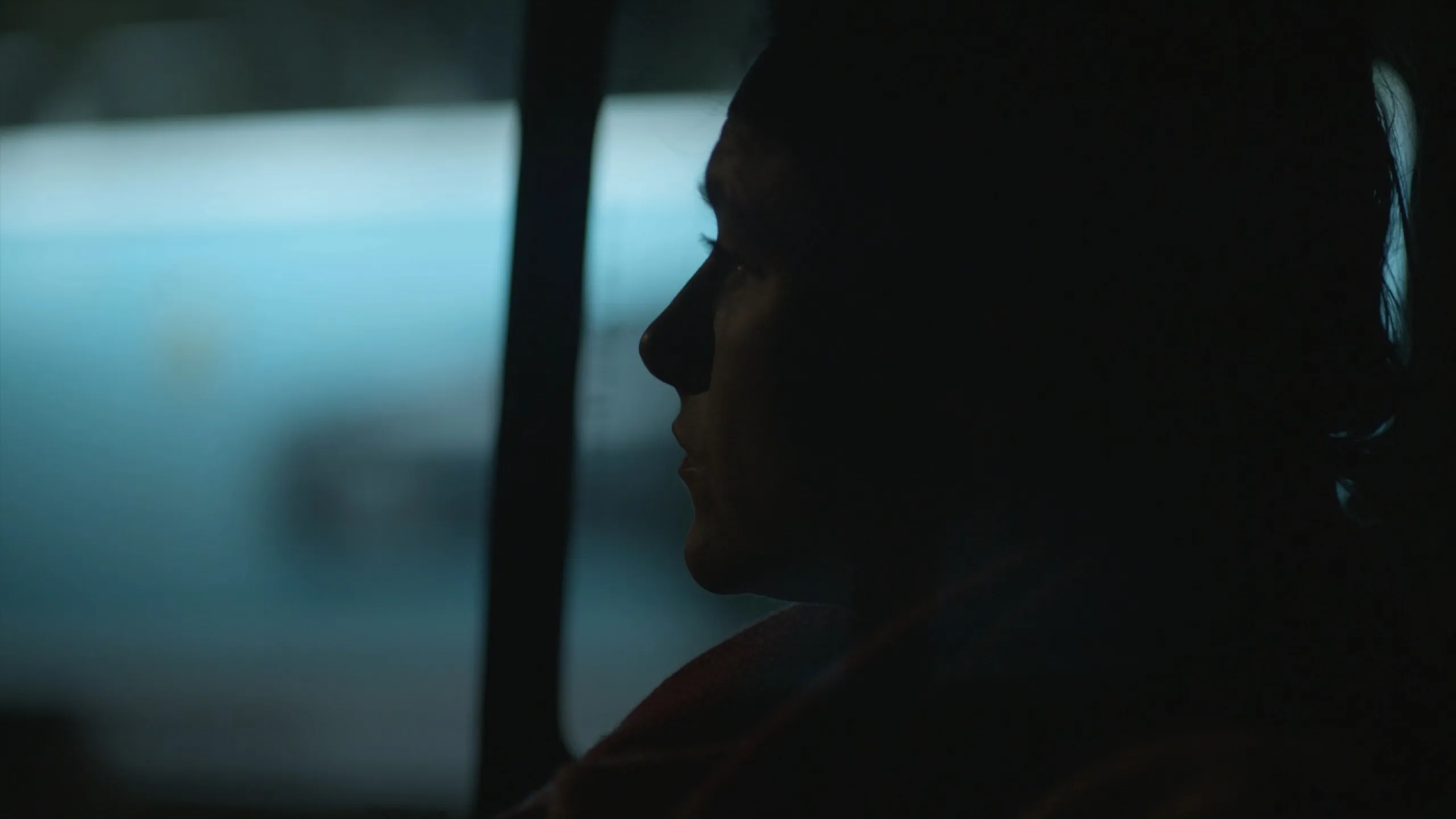 Chance Encounters: Bieke Depoorter in profile against a train window, dusk light glowing blue outside