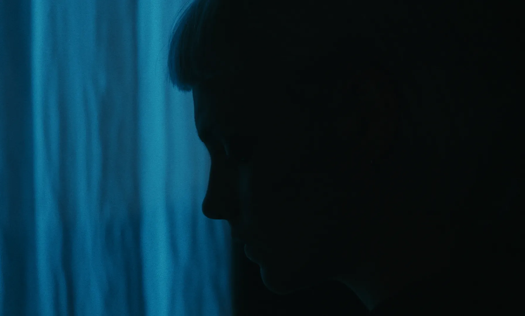 Les Homards Immortels cinematography still