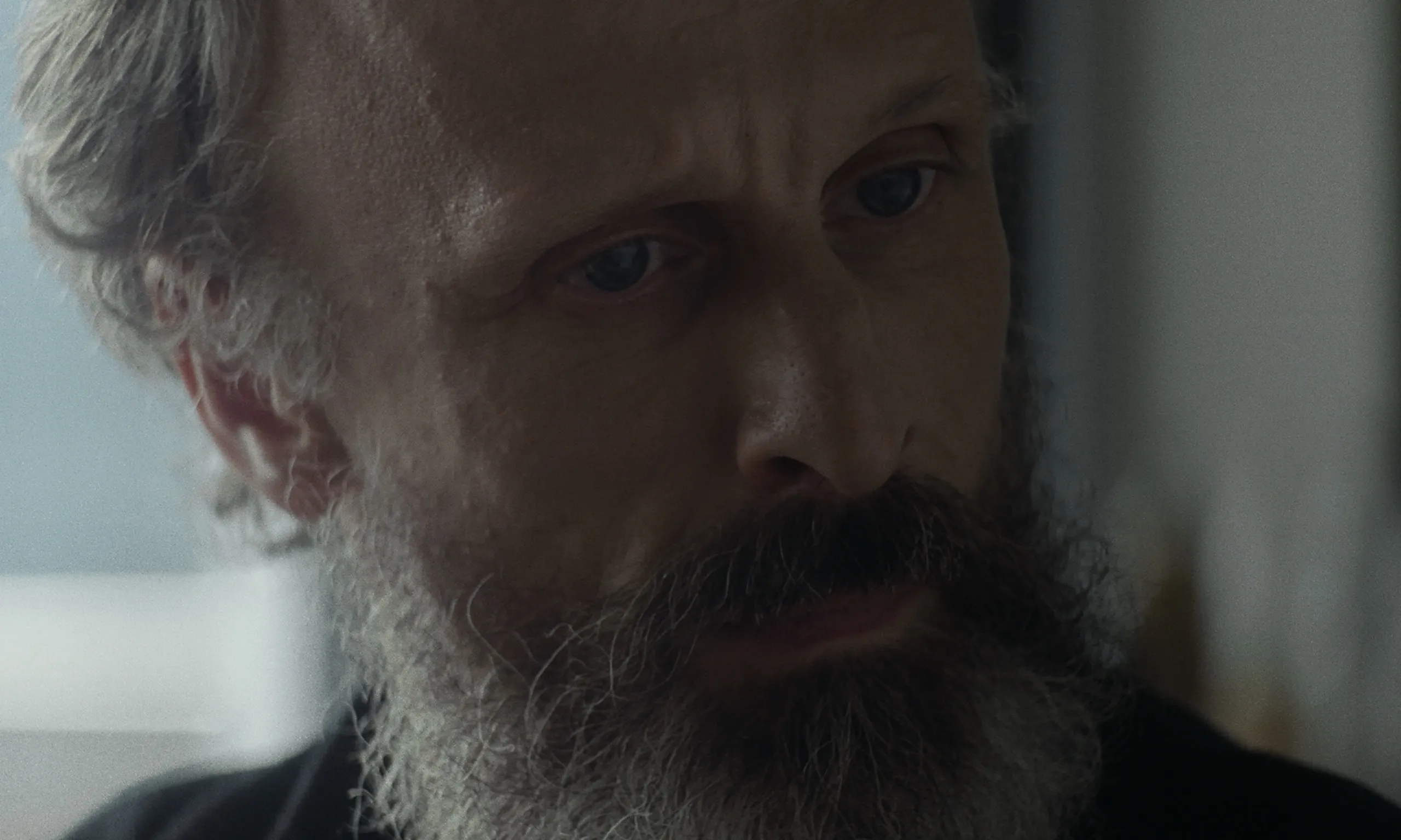 Les Homards Immortels: extreme close-up of a grey-bearded man lowering his eyes in soft window light