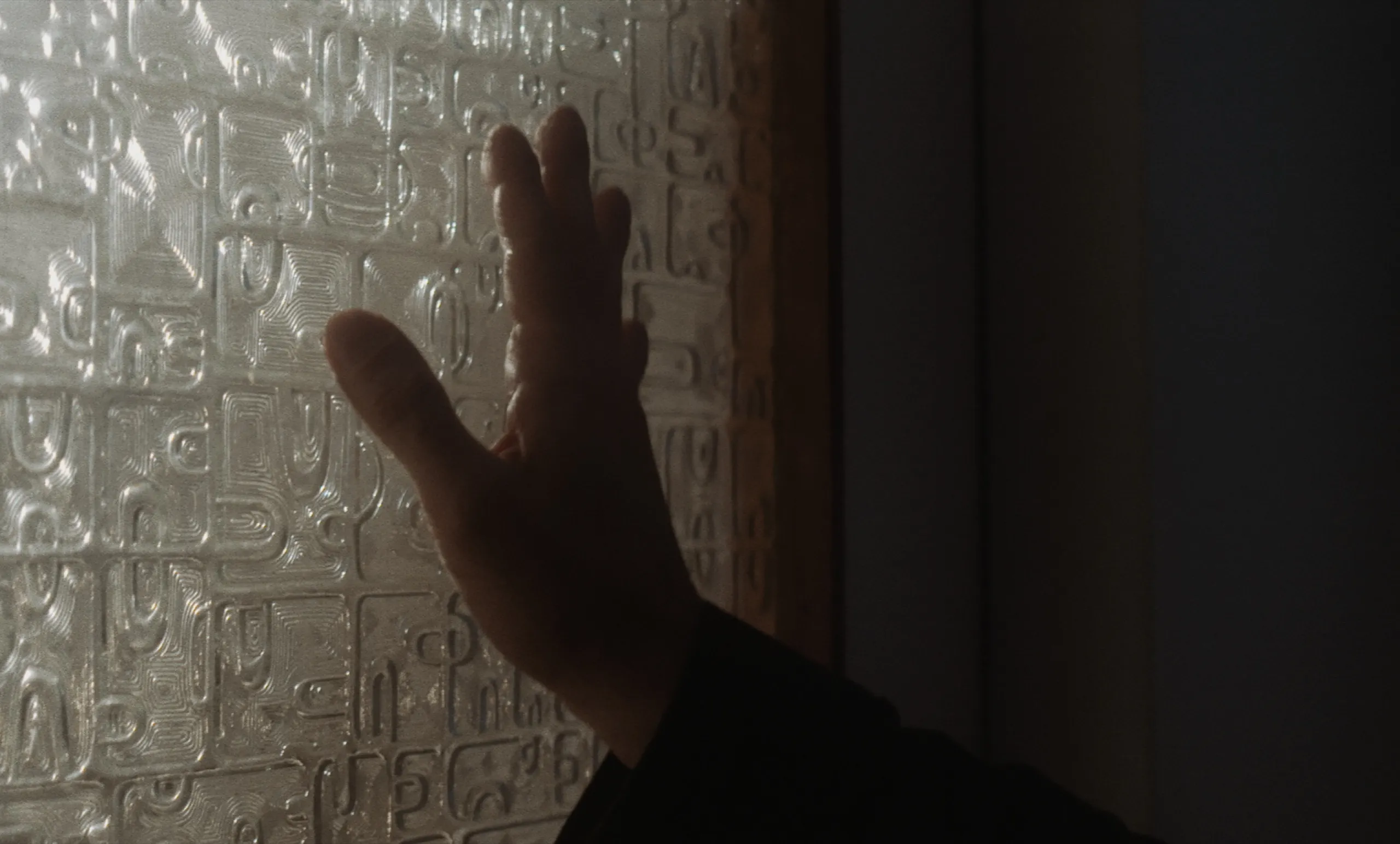 Les Homards Immortels: a hand pressed against a backlit pane of patterned textured glass in shadow