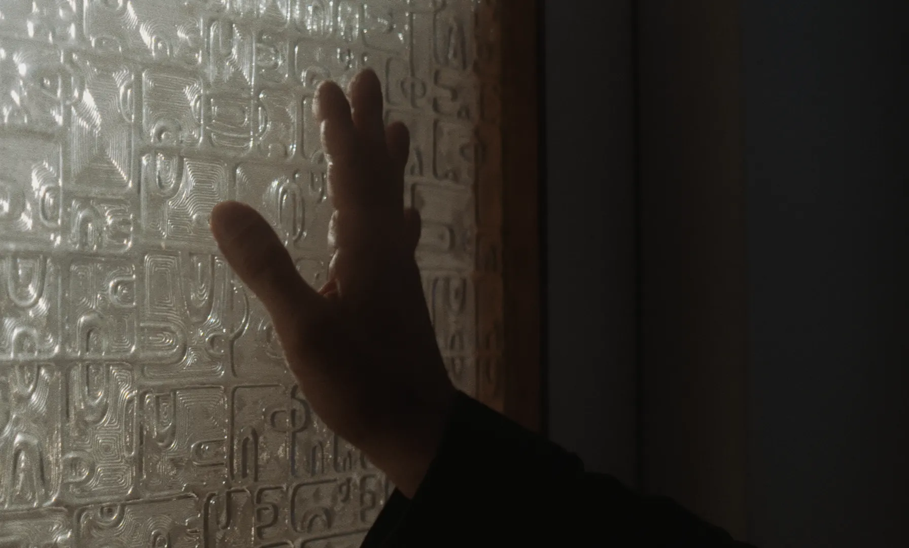Les Homards Immortels cinematography still