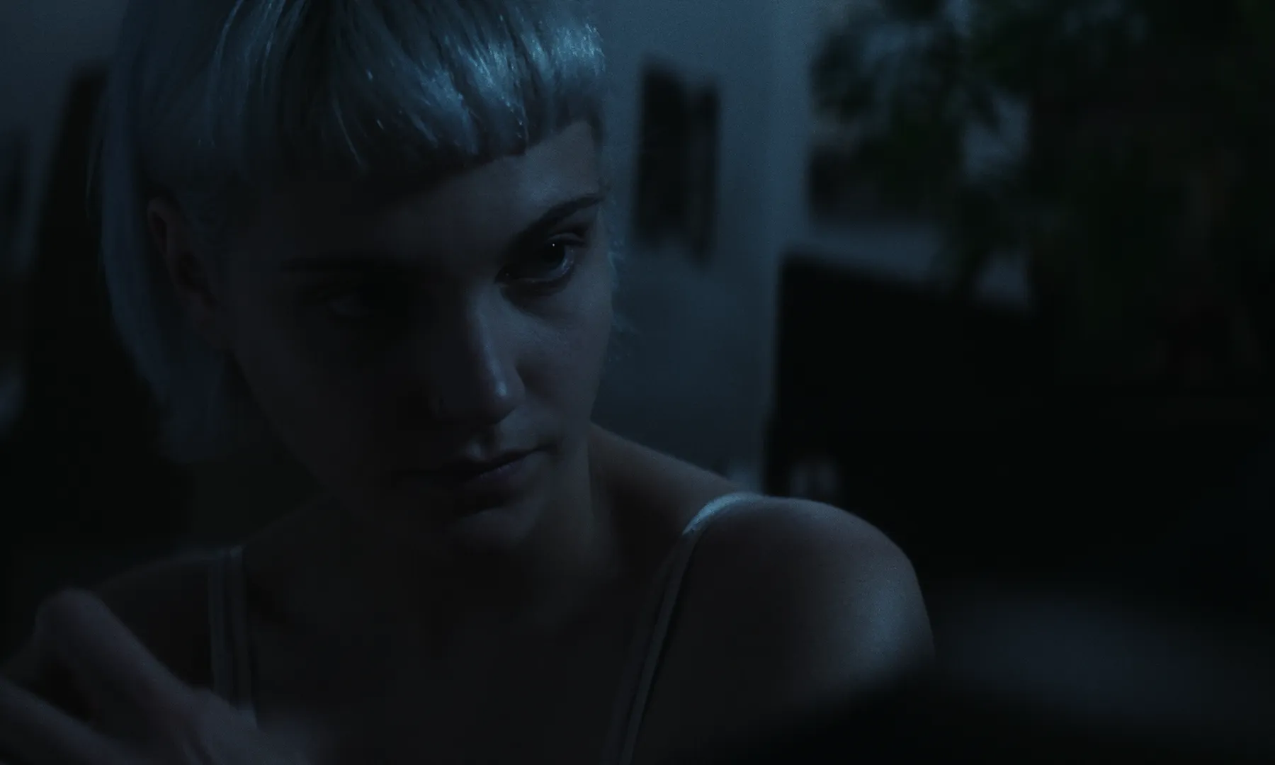 Les Homards Immortels cinematography still