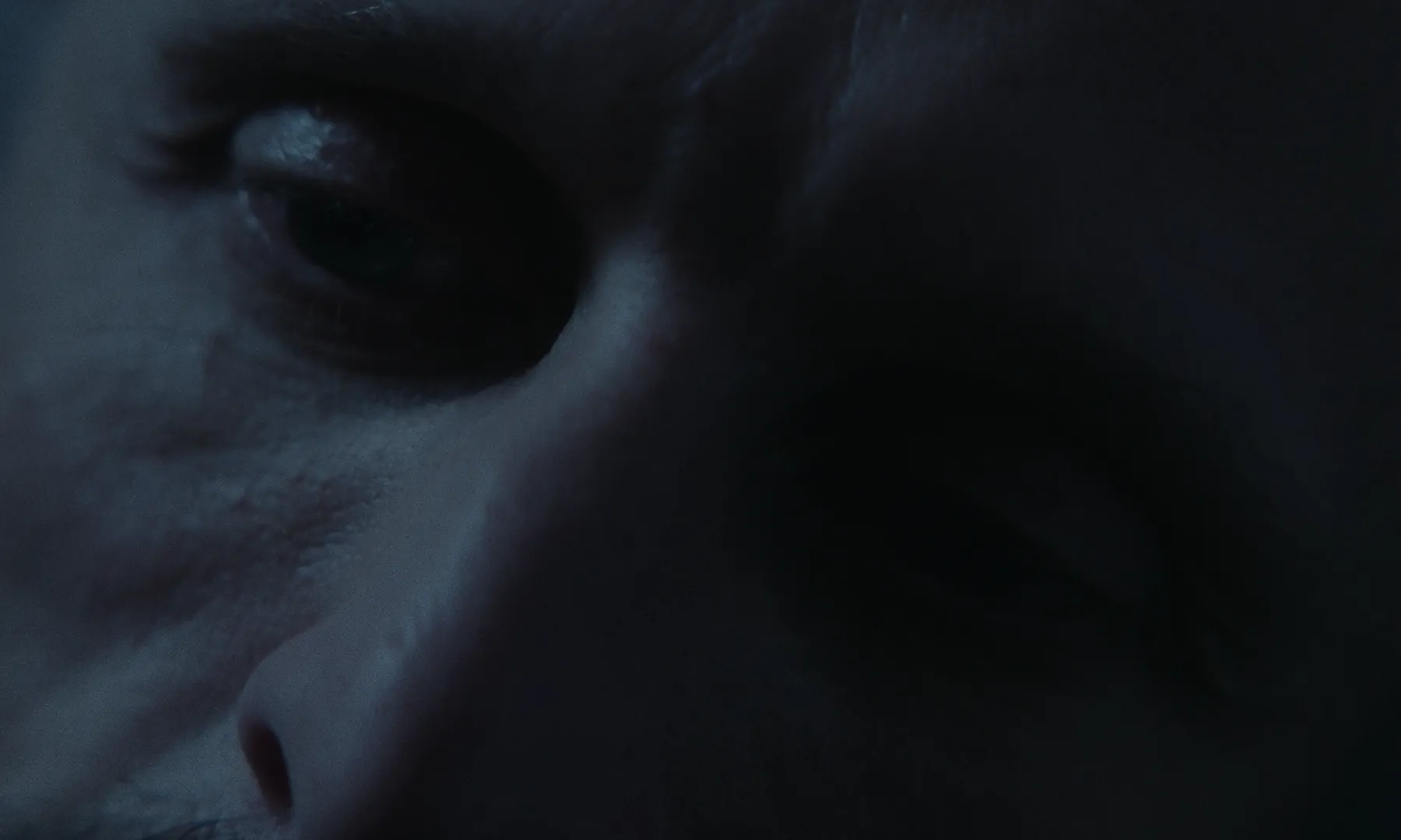Les Homards Immortels cinematography still