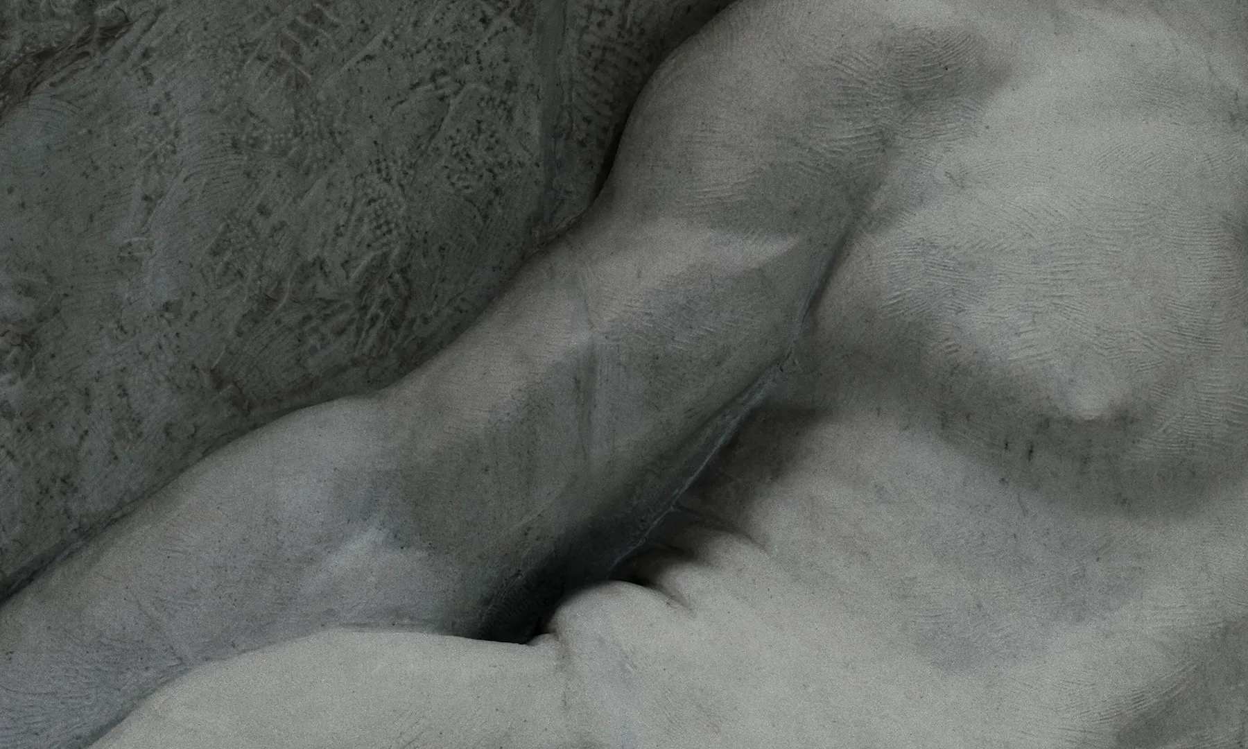 Les Homards Immortels cinematography still
