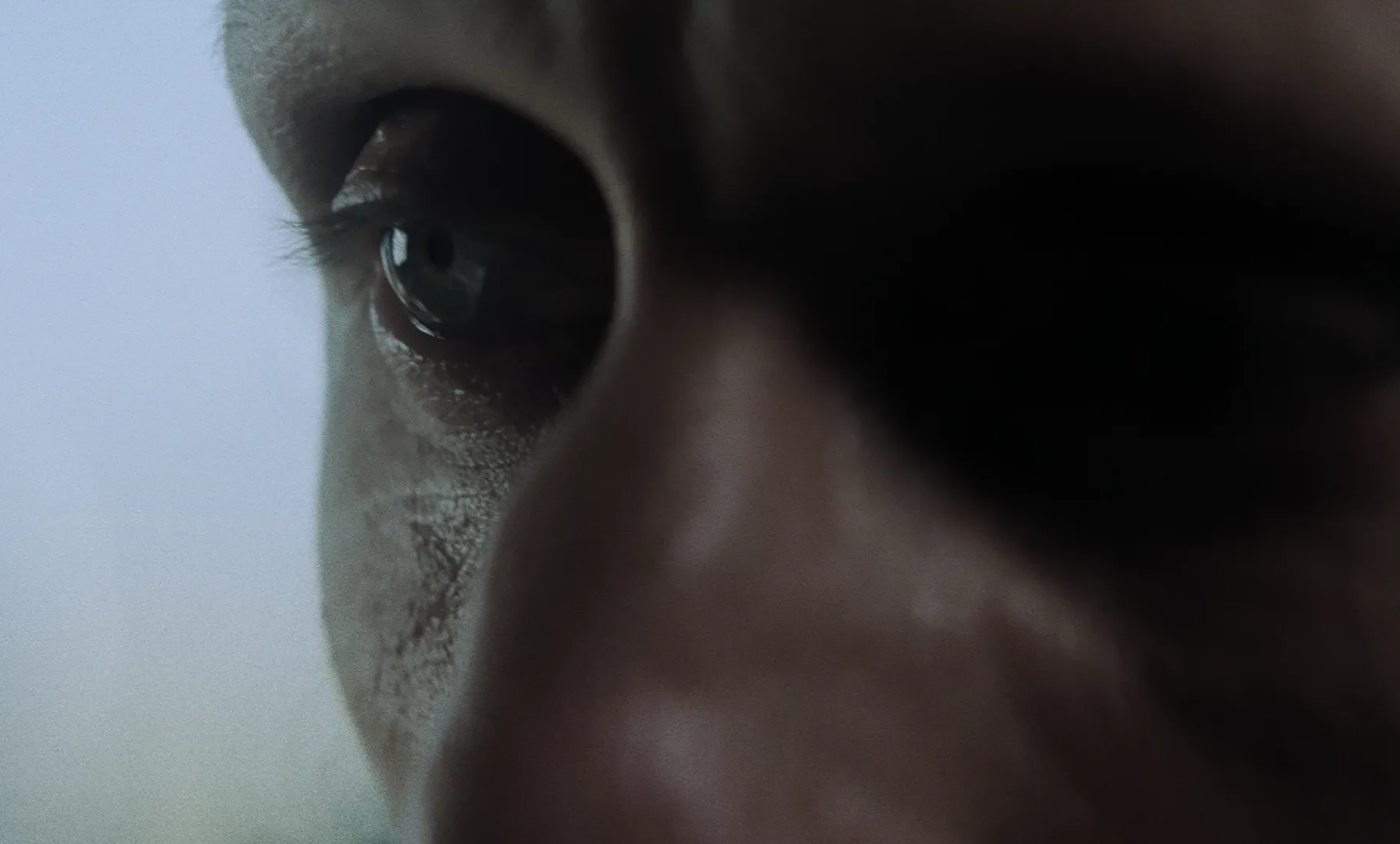 Les Homards Immortels cinematography still