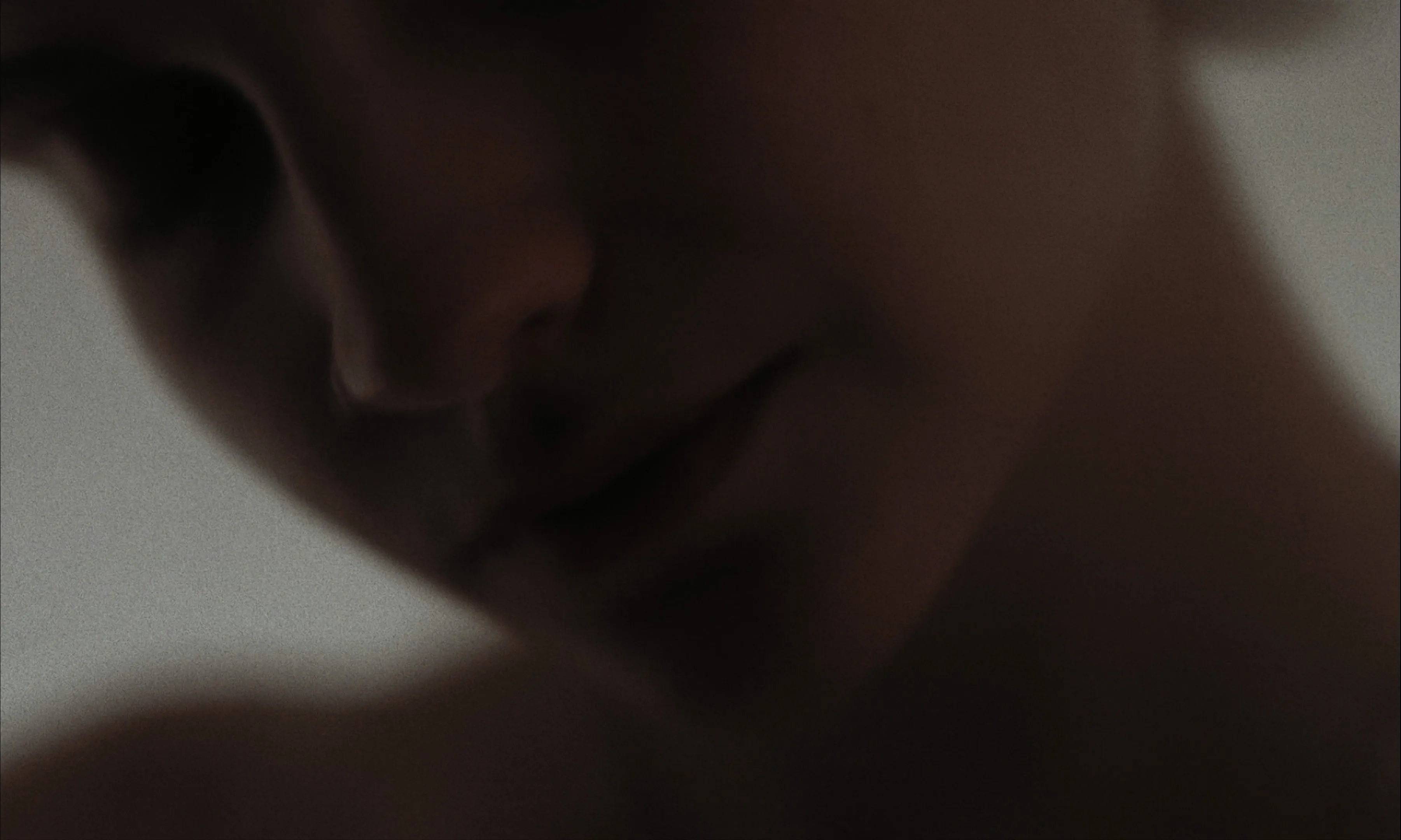 Les Homards Immortels cinematography still