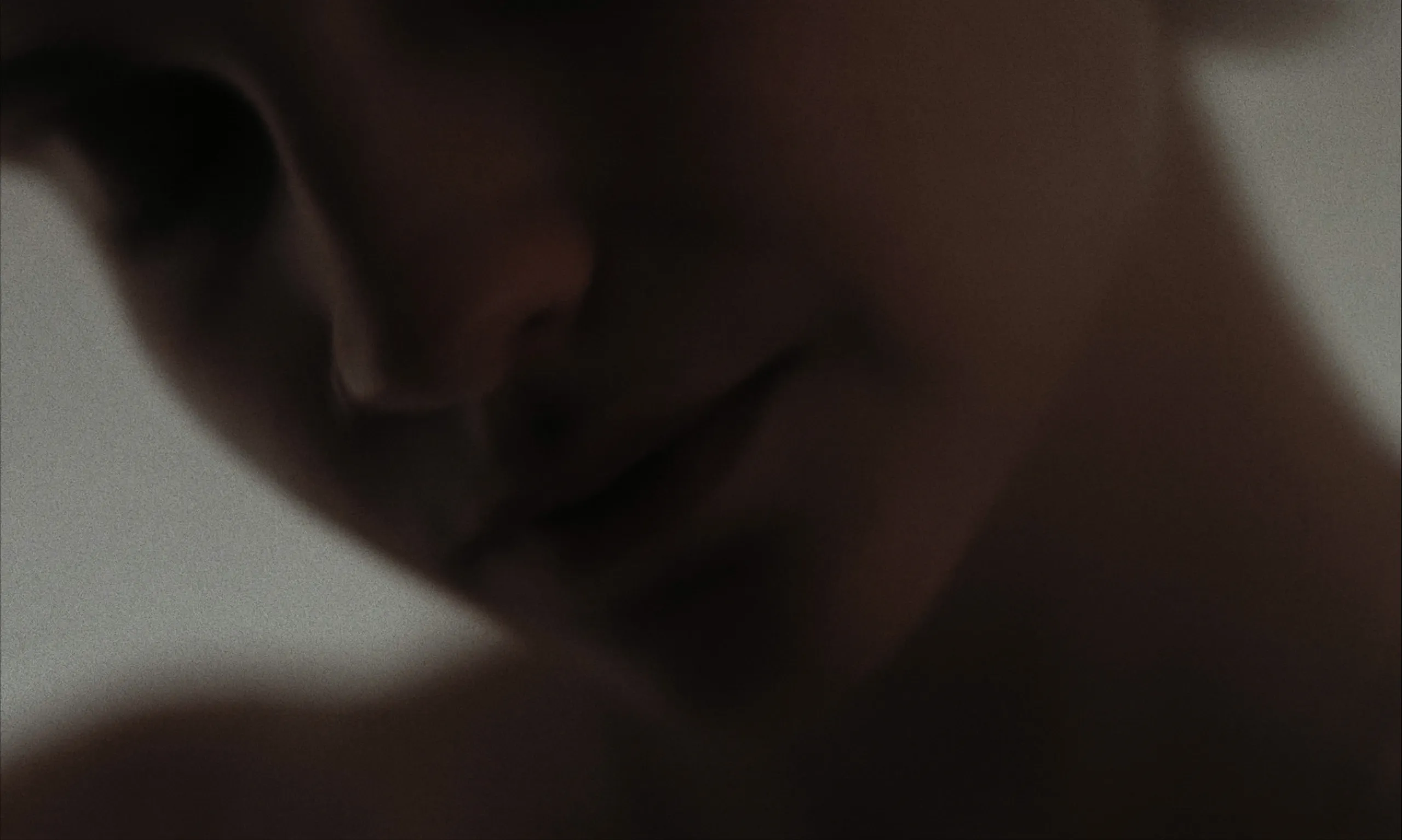 Les Homards Immortels: soft blurred close-up of a womans lowered face in muted grey light