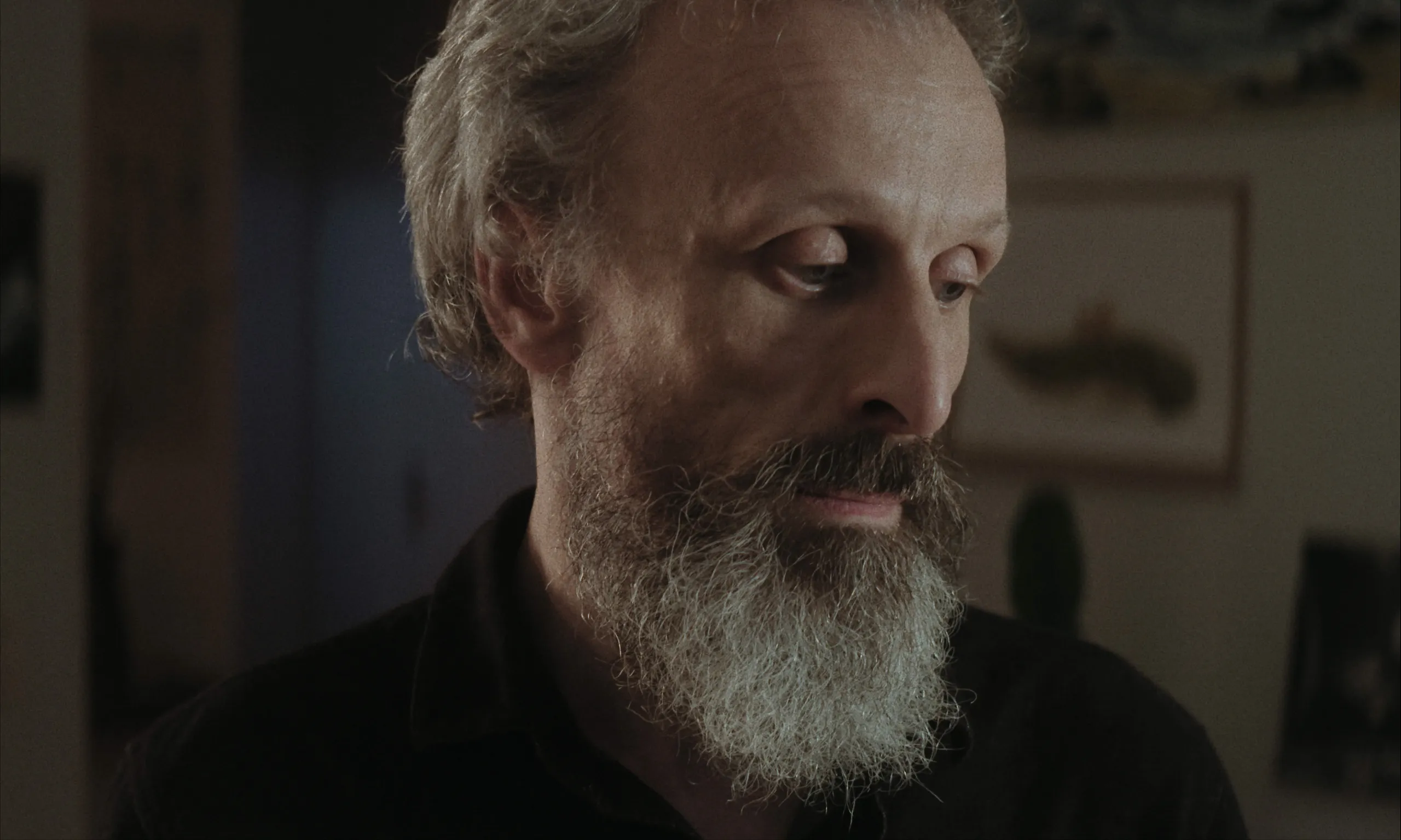 Les Homards Immortels: warm portrait of the grey-bearded man looking down, framed pictures blurred behind him