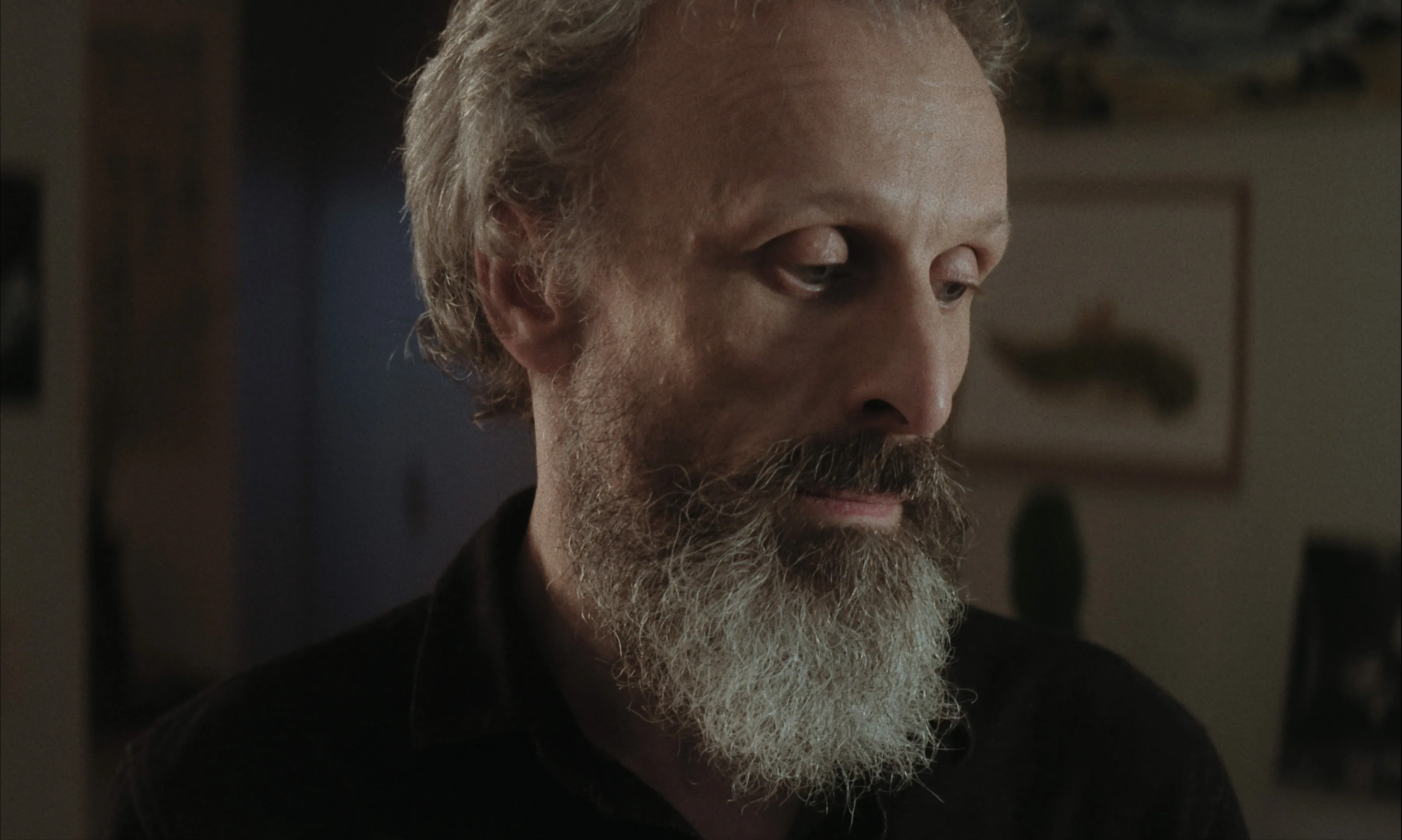 Les Homards Immortels cinematography still