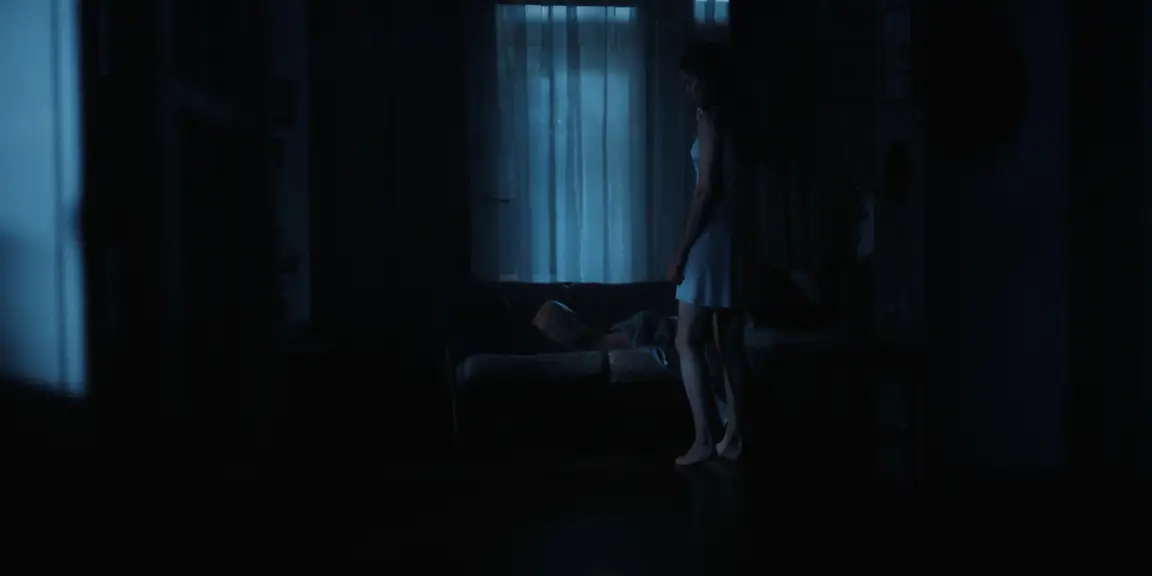 The Tears of Things: a woman in a white slip stands barefoot in a dark blue living room at night