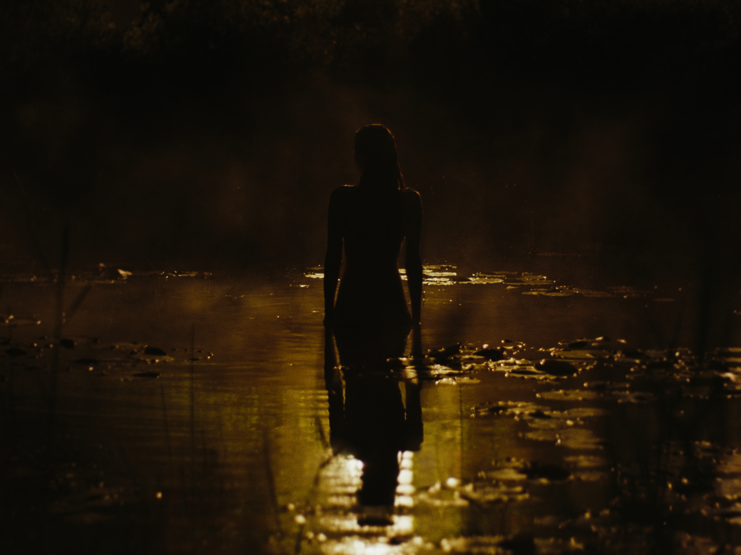 Moonlight Woman